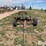case-ih-3412-image-2