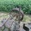 john-deere-a-image-5