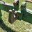 john-deere-2-image-11