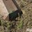 john-deere-30-image-15