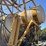 1996-ag-chem-terra-gator-1844-image-17