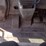 2020-doosan-da30-image-10