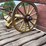 westinghouse-horse-treadmill-image-10