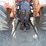 same-tractor-image-13