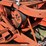 1965-allis-chalmers-780-image-19
