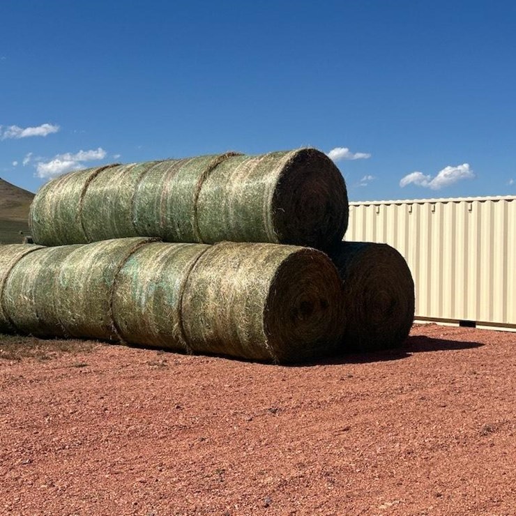 Alfalfa Hay Bales