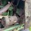 john-deere-b-image-17