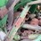 misc.-john-deere-dubuque-parts-image-3