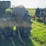 john-deere-620-image-5