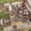 smalley-horsepower-image-6
