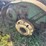 john-deere-620-image-14