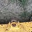 caterpillar-955l-image-93