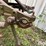 john-deere-no.8-image-16