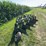 john-deere-14-image-4