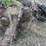 john-deere-b-rear-end-image-8