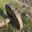 john-deere-b-image-10
