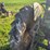 john-deere-320v-slant-steer-image-11
