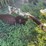 brinly-plow-image-5