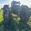 john-deere-320v-slant-steer-image-9
