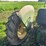 john-deere-430w-image-6