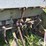 john-deere-11-image-10