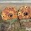 john-deere-4030-image-3