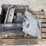 kenworth-k100-image-6