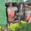 john-deere-320-image-14