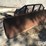 leon-1040-image-3