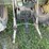 john-deere-4010-image-6