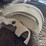 international-8-16-fenders-image-1