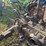 john-deere-b-image-15