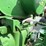 john-deere-ar-image-25