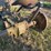john-deere-b-image-7