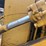 caterpillar-955l-image-50