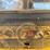caterpillar-d6m-image-40