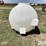 wylie-1025-image-4