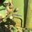 john-deere-620-image-18