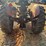 massey-ferguson-135-image-3