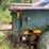 jeep-willys-image-6