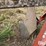 allis-chalmers-2-image-17