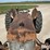 1944-ford-tractor-image-12