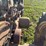 john-deere-520-image-13