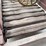 westinghouse-horse-treadmill-image-11