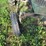 john-deere-330-image-7