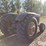 1963-john-deere-5010-image-5