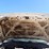 ford-f550-image-65