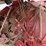 2015-new-holland-roll-belt-560-image-10