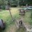 john-deere-no.8-image-4