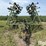 john-deere-980-image-2